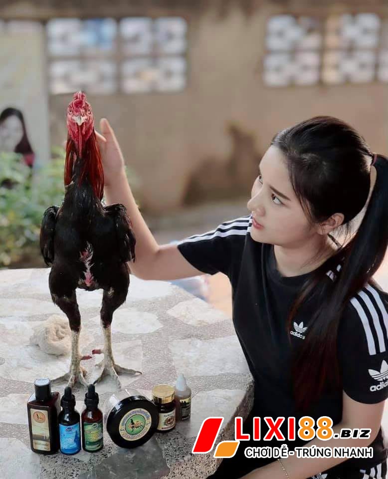 Đá gà trực tiếp 88